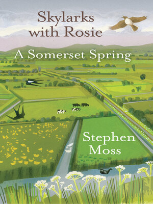 cover image of Skylarks with Rosie
